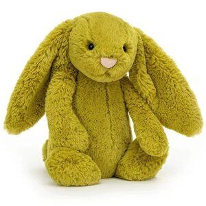 RARE Jellycat Medium Bashful Zingy Bunny BNWT